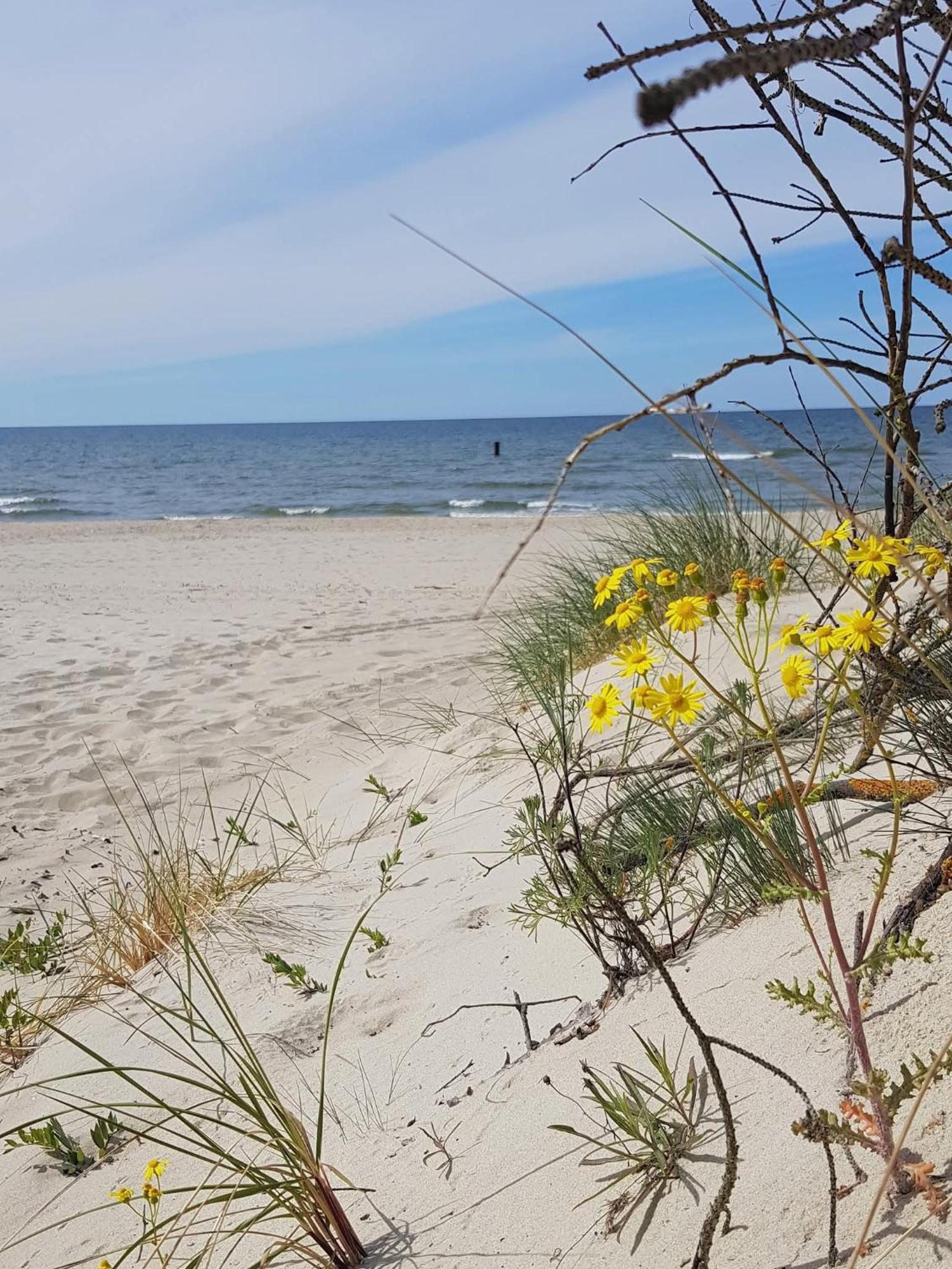 Pokoje Goscinne Nord Криница Морска Екстериор снимка